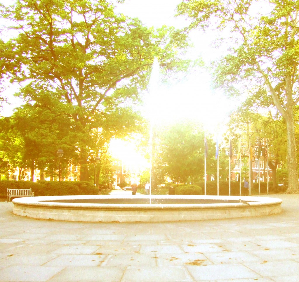 Washington Square Park - Day of Radiance